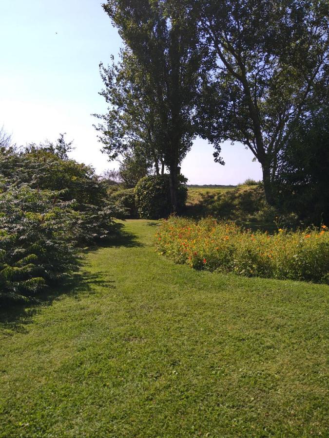 Ouddorp Vakantiehuisje Екстер'єр фото