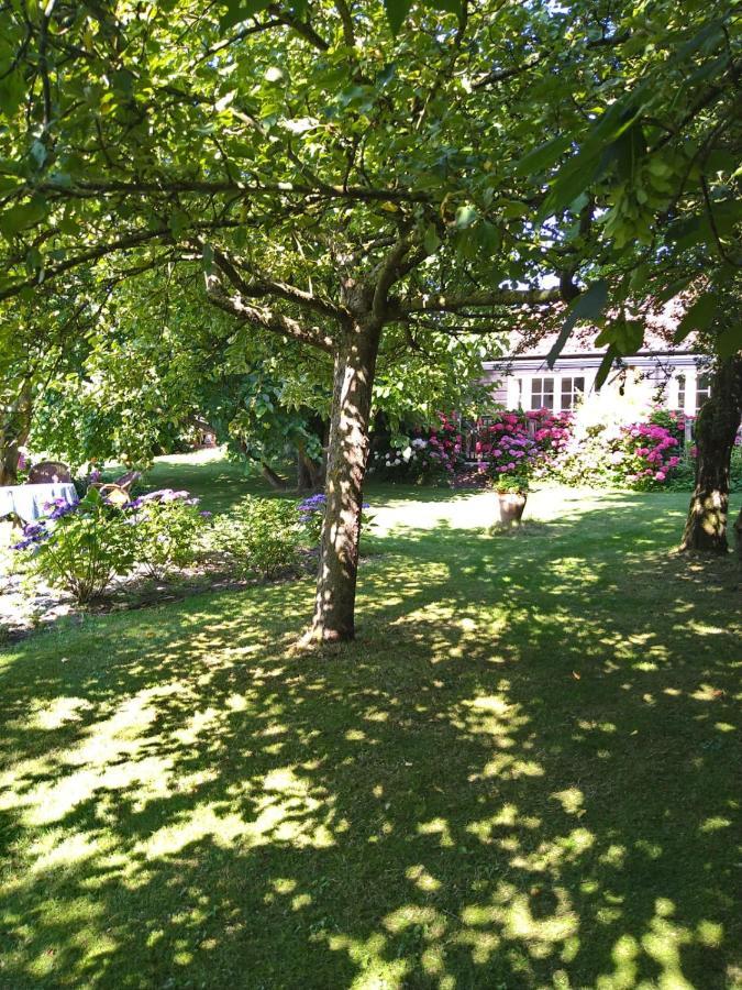 Ouddorp Vakantiehuisje Екстер'єр фото
