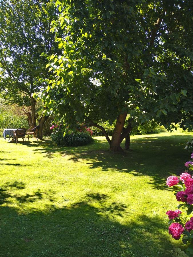 Ouddorp Vakantiehuisje Екстер'єр фото