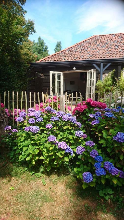 Ouddorp Vakantiehuisje Екстер'єр фото